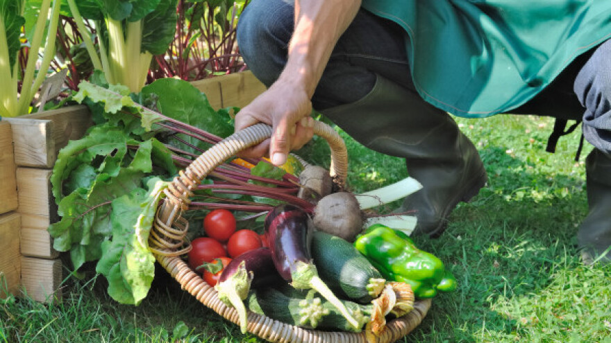 Prehrambena ovisnost RH - Svjetski dan hrane