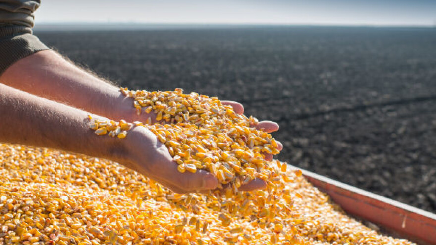 Prekinuta cenovna stabilnost na tržištu žitarica