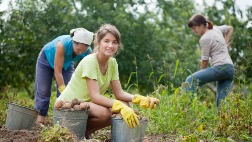 Prekogranična saradnja u organskoj proizvodnji