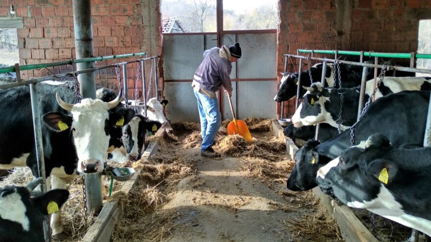 Stočari Srbije: Niste svesni u kakvoj smo situaciji, odmah nas primite!