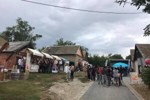 Jubilarni, 20. Vinski bor maraton