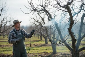 Preporuke za proljetno prskanje voća