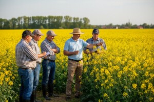 Prepoznatljivi su po kukuruzu, no Bc Institut ima adute i kada je uljana repica u pitanju!