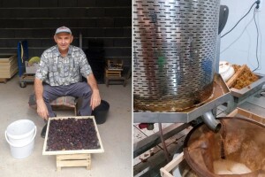 Da nas je više poput Ediba, Asima i Tanasića, uvoznih 550 šlepera ne bi trebalo