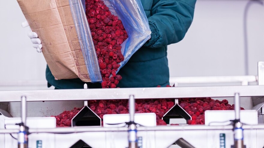 Nenad Ljubojević: Ključ opstanka malinara je u spremnosti za višom razinom prerade proizvoda