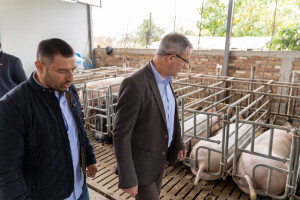 Glamočić najavio posebnu oznaku "Rođeno i hranjeno u Srbiji". O čemu je reč?