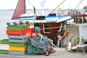 5,2 milijuna kuna iz IPARD-a za preradu ribe