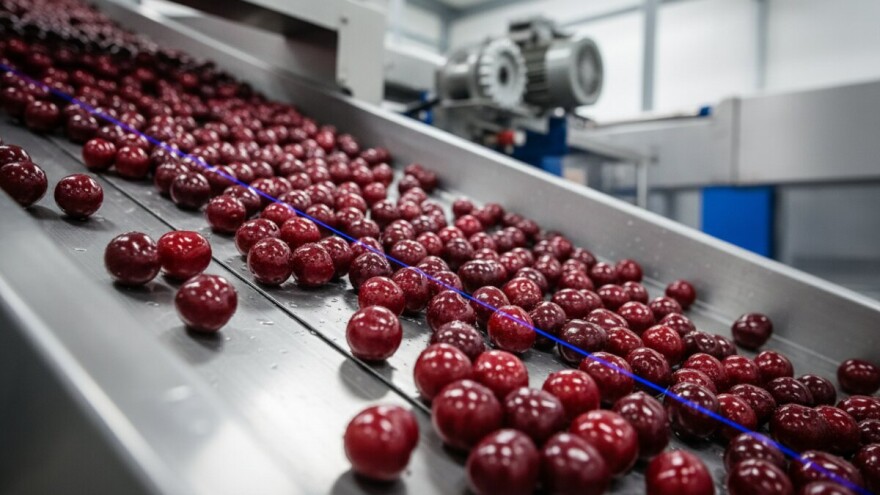 Preradit će se kompletna domaća proizvodnja višanja