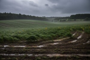 Pretežno oblačno s malo kiše, vjetrom i burom