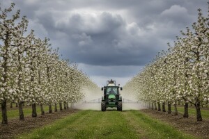 Preventivna zaštita jabuka i krušaka