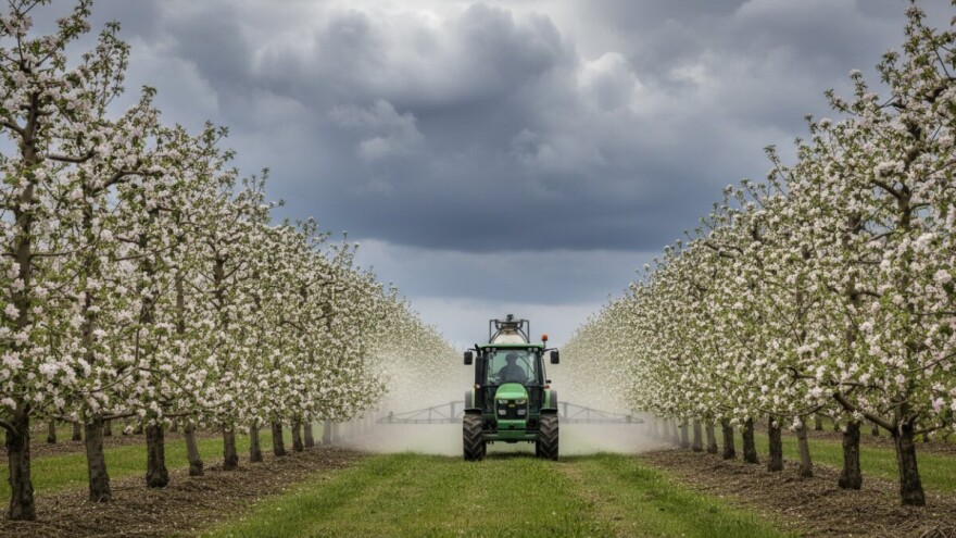 Preventivna zaštita jabuka i krušaka