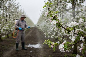 Preventivna zaštita voćaka