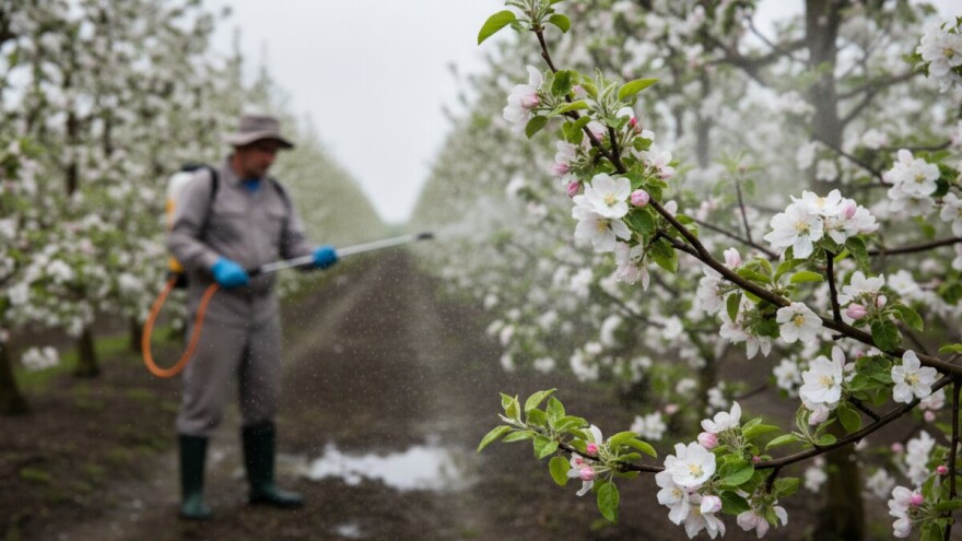 Preventivna zaštita voćaka