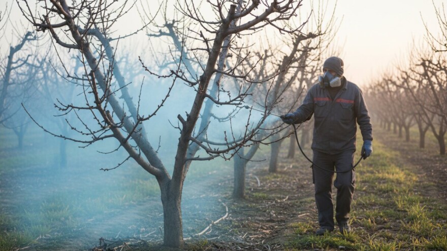 Preventivno zaštitite koštićave voćke