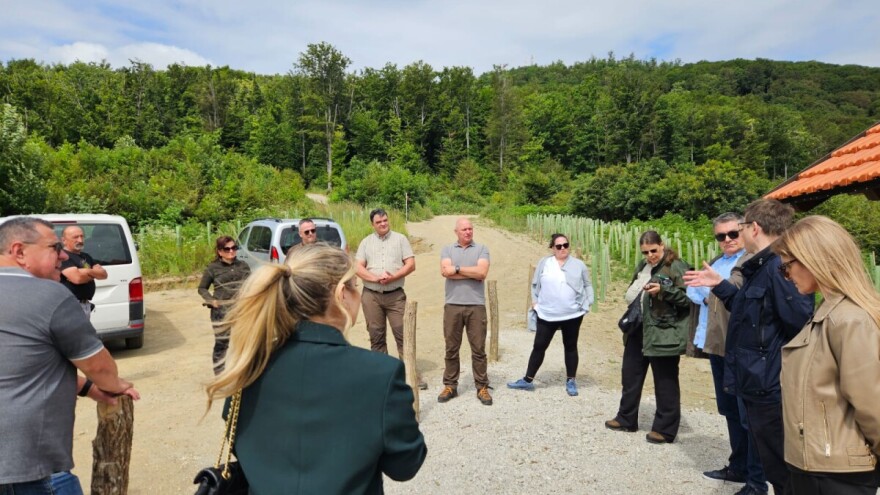 Hrvatske šume predstavile rezultate sanacije šumskog sustava na Medvednici