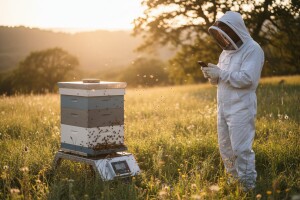 Prezentacija pčelarske vage na 8. Danima meda u Pazinu