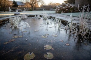 Prezimljavanje vrtnih jezeraca