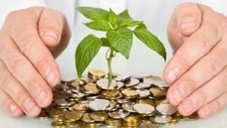 Hrvatski poljoprivrednici vode u padu prihoda