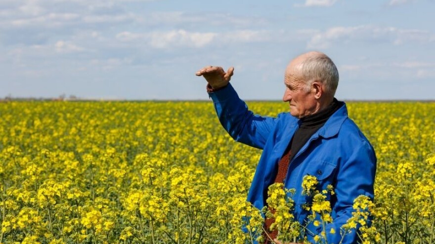 Danski farmer prihoduje do 90 tisuća € godišnje!