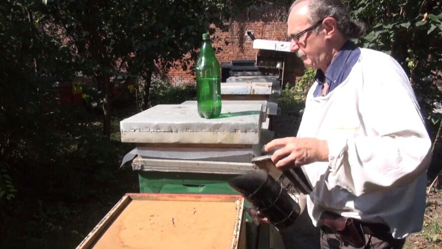 Krajnje je vrijeme za prihranu pčelinjih zajednica