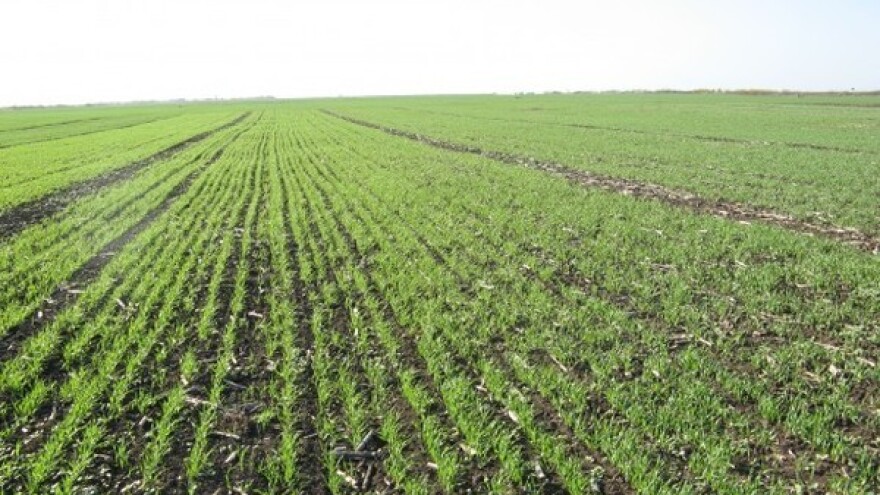 Pravo je vreme za analizu zemljišta pre prihrane