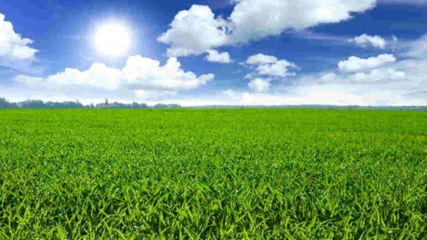 Preporuka za prihranu strnih žita