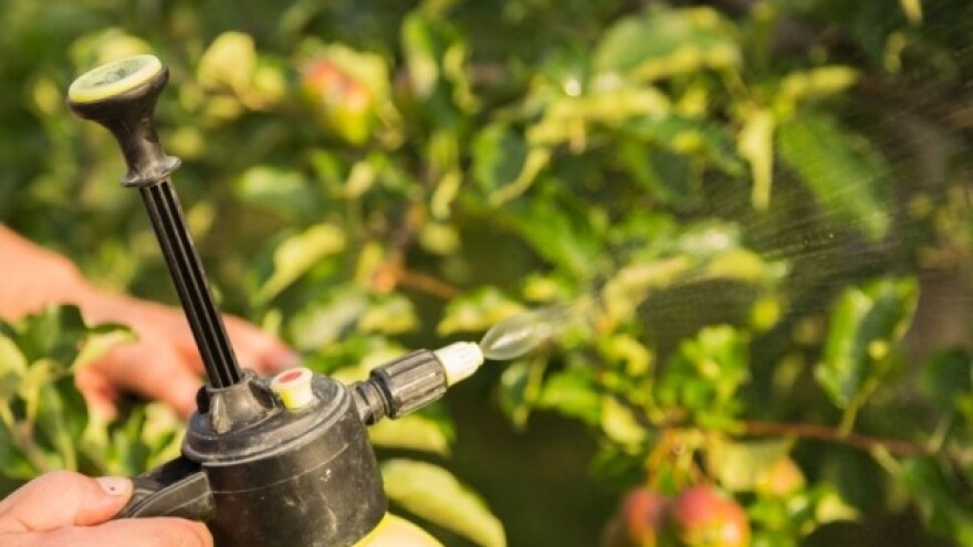 Folijarna prihrana za rast i kvalitetu voća!