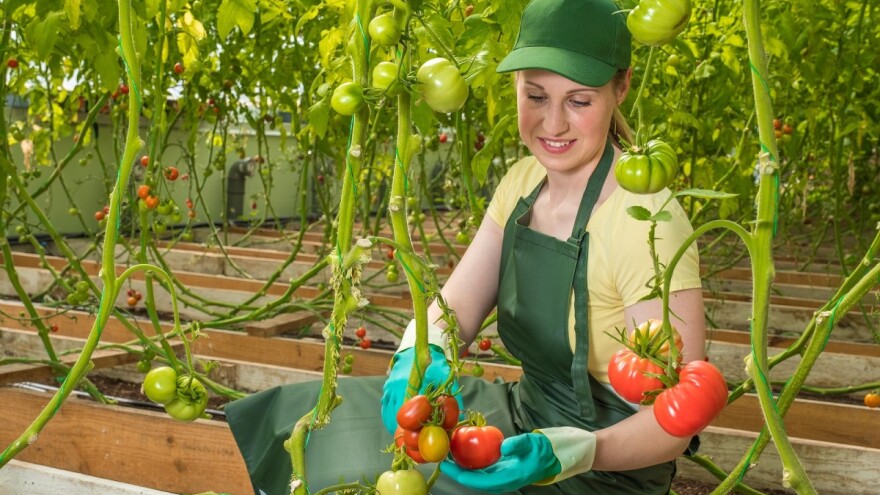 Nagrade za biznis lidere održivog razvoja dodjeljuju UNDP i Vlada Švedske