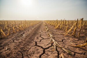 Prijave šteta od suše u Brodsko-posavskoj županiji
