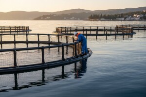 Prijavljujete se na natječaj za akvakulturne investicije?