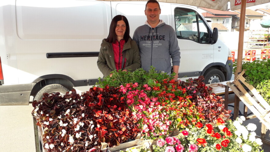 Vukovići krenuli s drvenim plastenikom - danas uzgajaju cvijeće za svačiji ukus i džep