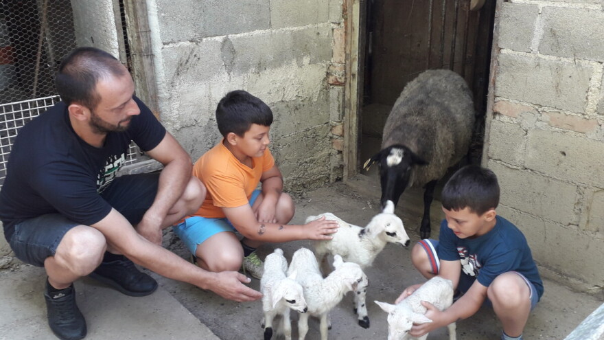 Romanovska ovca i sjenički ovan dobili četvorke, a Crvenka trojke