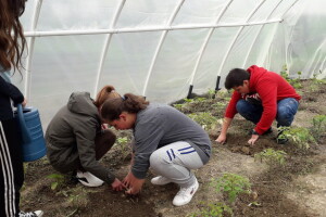 Dobili plastenike: Đaci oduševljeni uzgojem povrća i cvijeća