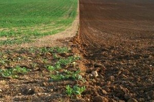 Prijelazna godina za ruralnu Hrvatsku