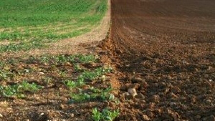 Prijelazna godina za ruralnu Hrvatsku