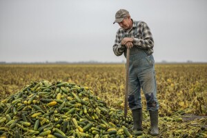 Prijeti nam ubojstvo domaćeg povrtlarstva!