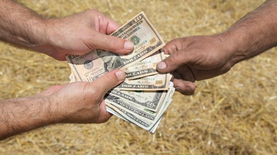 Koliko su česte prijevare u EU poljoprivredi?