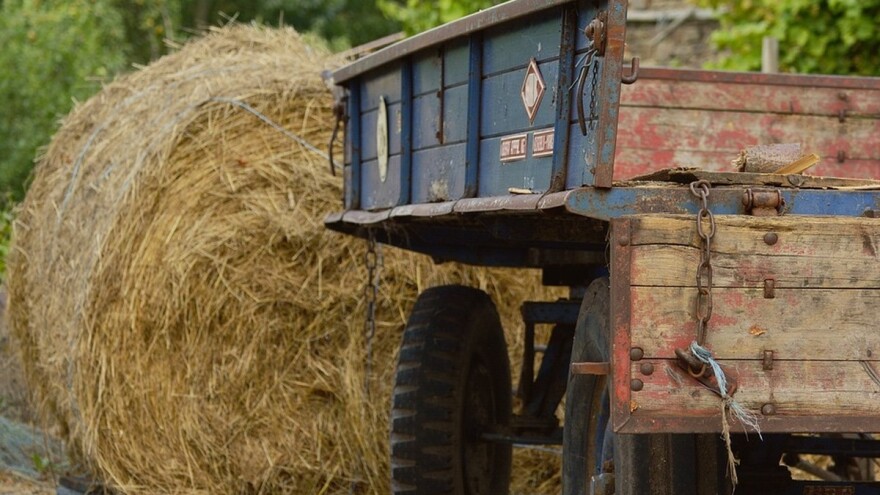 Zbog neregistrirane prikolice, stočar Bojan Radovanović ide u zatvor