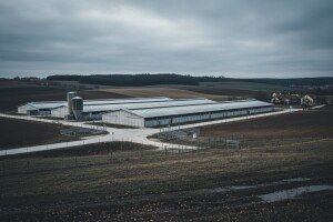 Prilagodba EU direktivi ili zatvaranje farmi