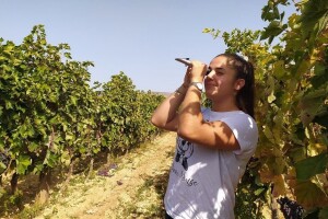 Primjer Marije Josić: Samozaposlila se u laboratoriju za analizu grožđa, mošta i vina