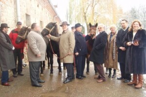 Primopredaja ždrebadi izvorne pasmine međimurski konj