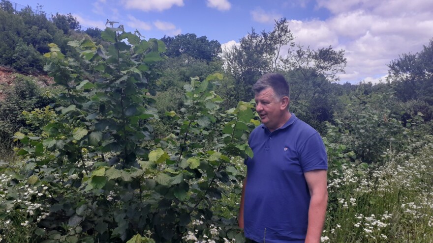 Primorac: Pokušavam otkriti dobitnu kombinaciju uspješne proizvodnje