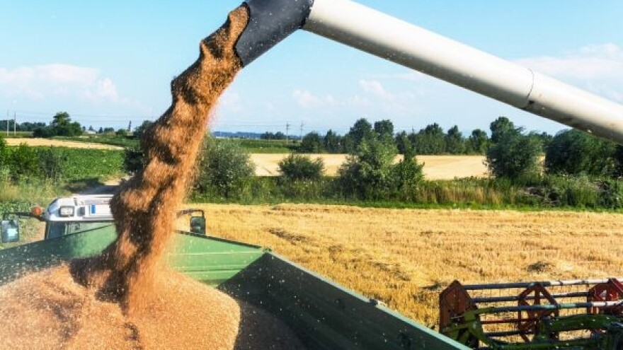 Kako ostvariti prinos pšenice veći od 7t/ha?