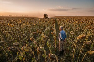 Prinos solidan - čeka se konačna cena