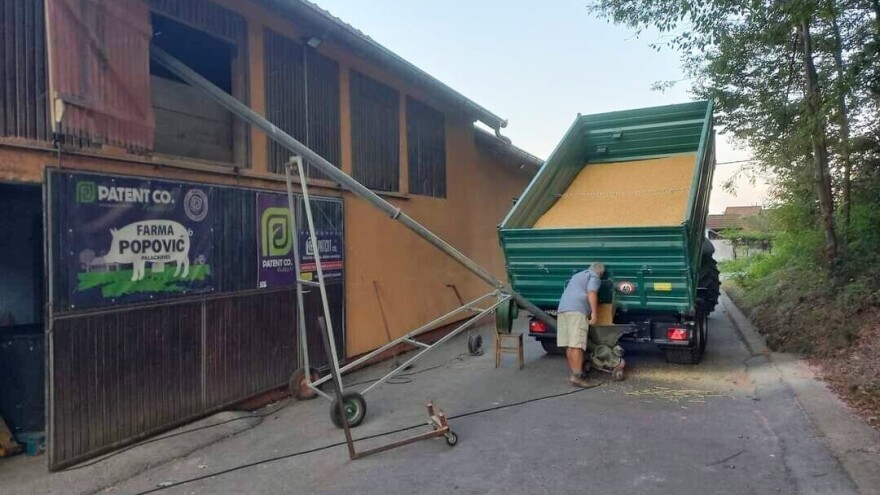 Popović zabilježio rekordne prinose kukuruza: "Imali smo sreće"