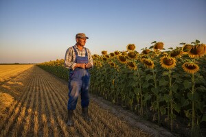 Prinosi dobri - za zaradu potrebna bolja cena