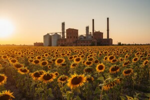 Priopćenje sa sastanka o privatizaciji Uljare Čepin