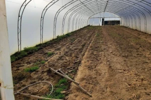 Kako izabrati pravo mesto za plastenik?