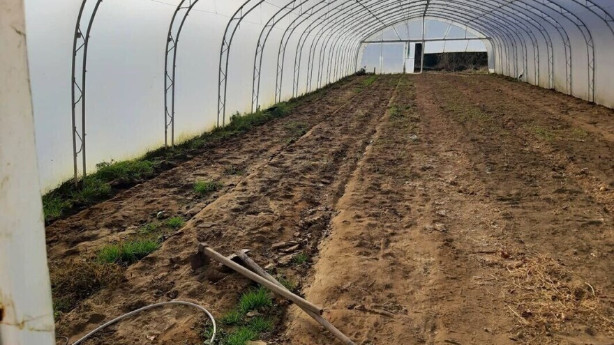 Kako izabrati pravo mesto za plastenik?