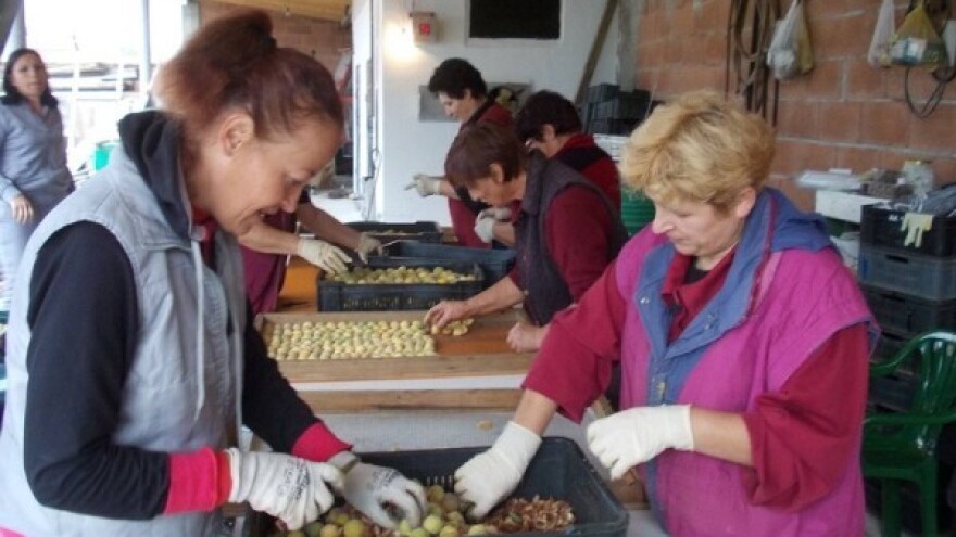 Tradicionalna voćna vrsta na nesvakidašnji način